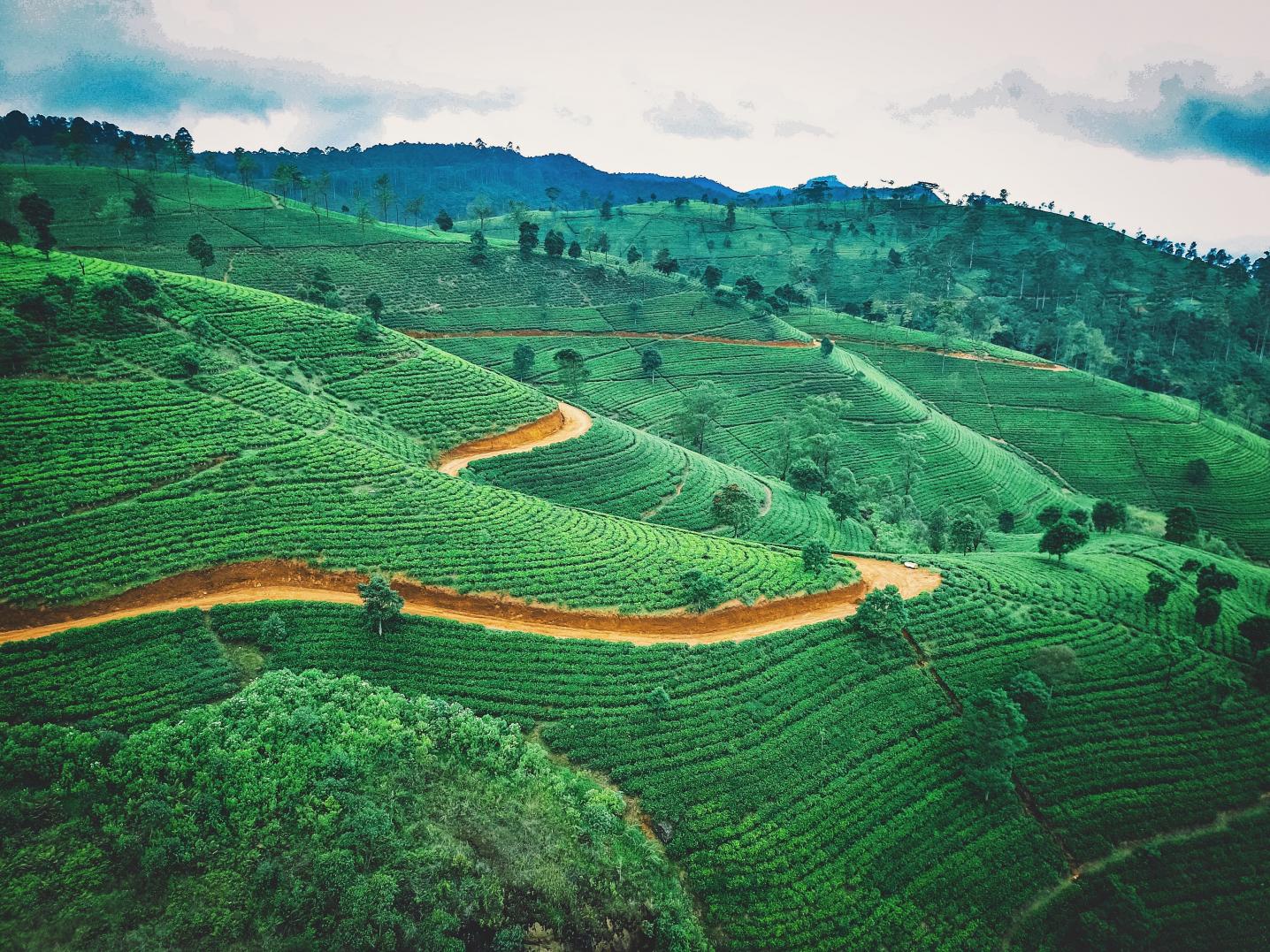 Holiday Lanka Tours