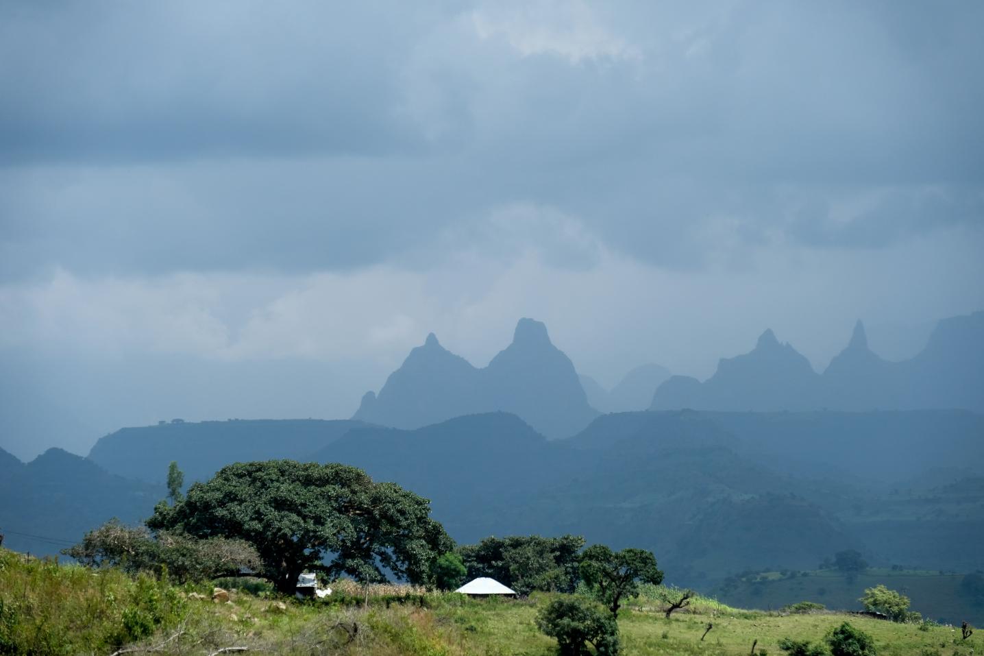 Ethio Afro Tours