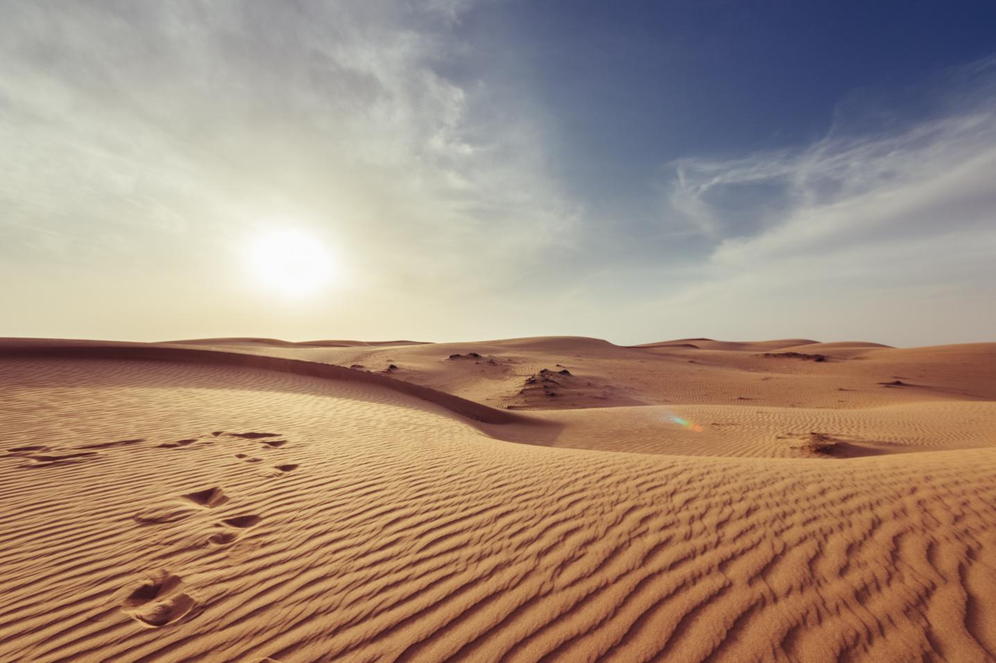 Oman Safari Tours