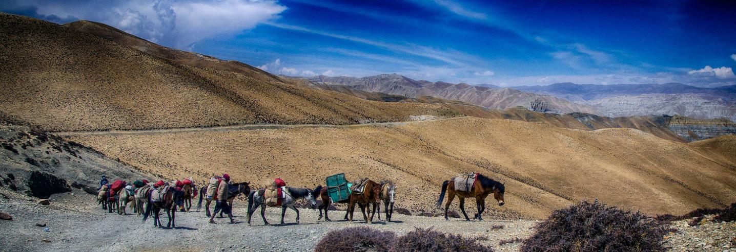 Explore Himalaya Travel & Adventure