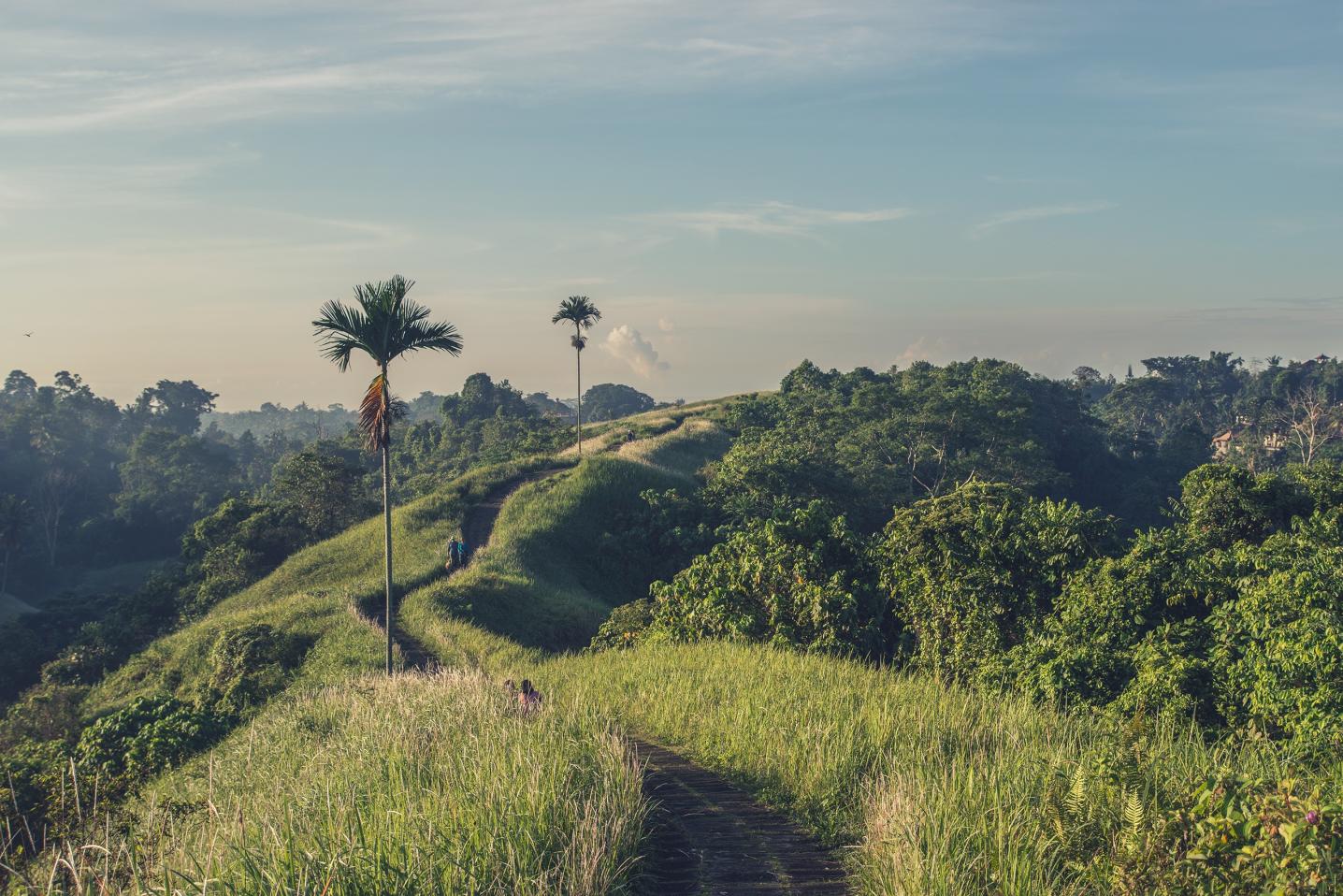 Wanderlands Travel