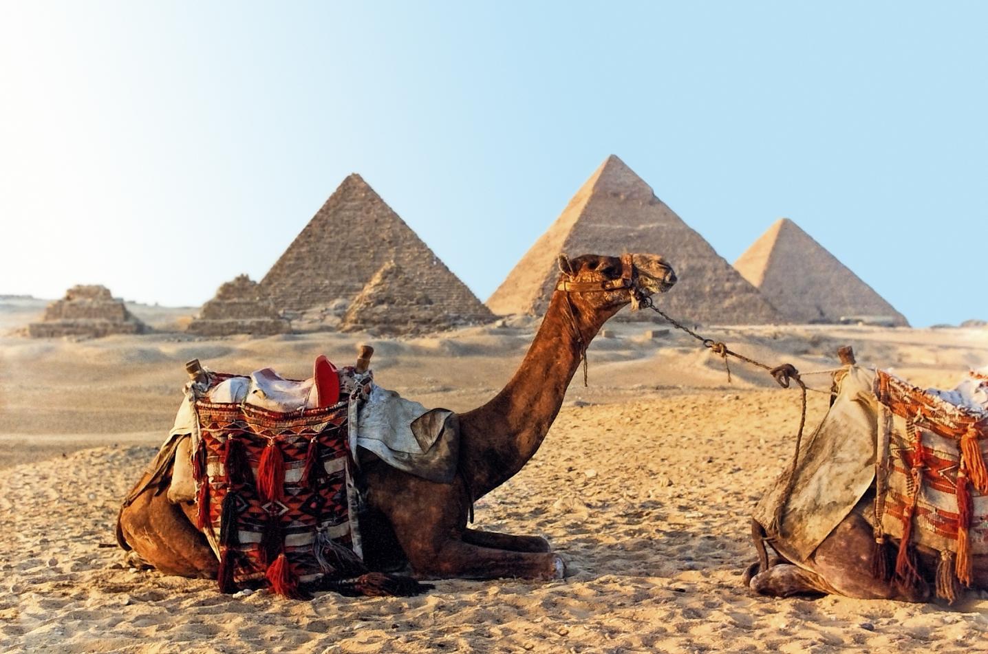 Memphis Tours Egypt