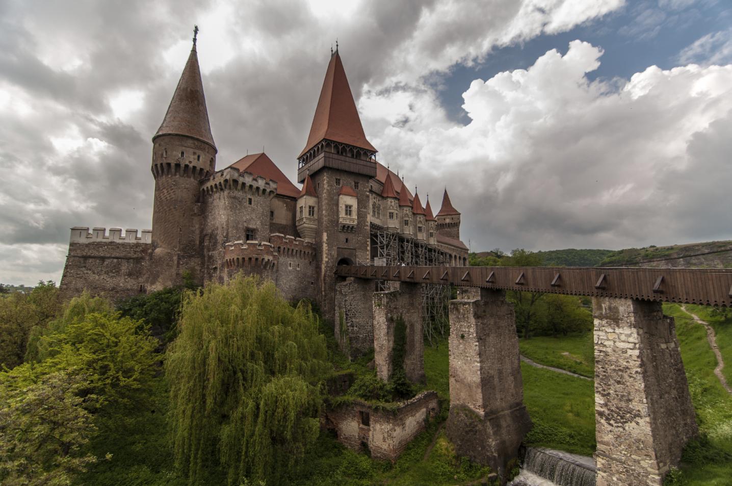 Mr Tripp, Gray Line Romania