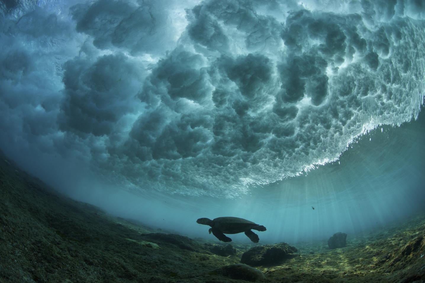 Australian Surf Tours