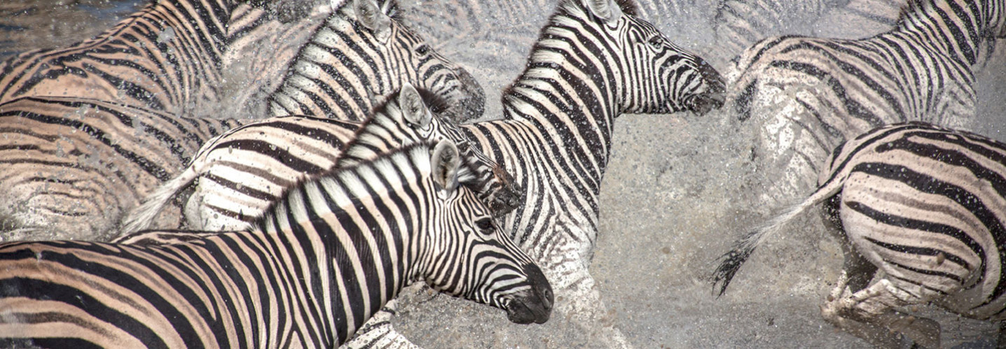 Acacia Adventure Holidays