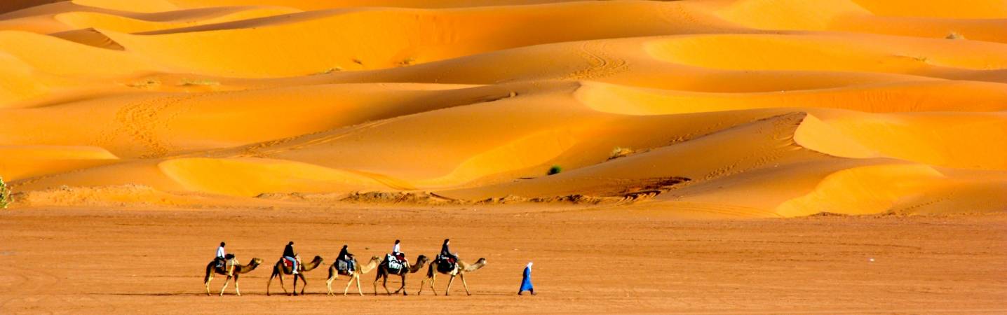 Encounters Travel
