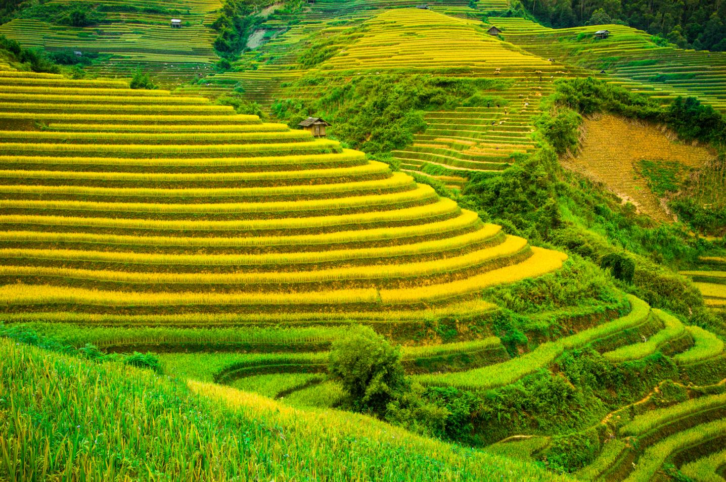 Custom Vietnam Travel