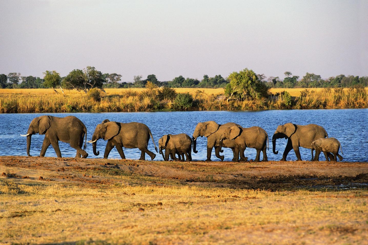 Nature Expeditions Africa Ltd