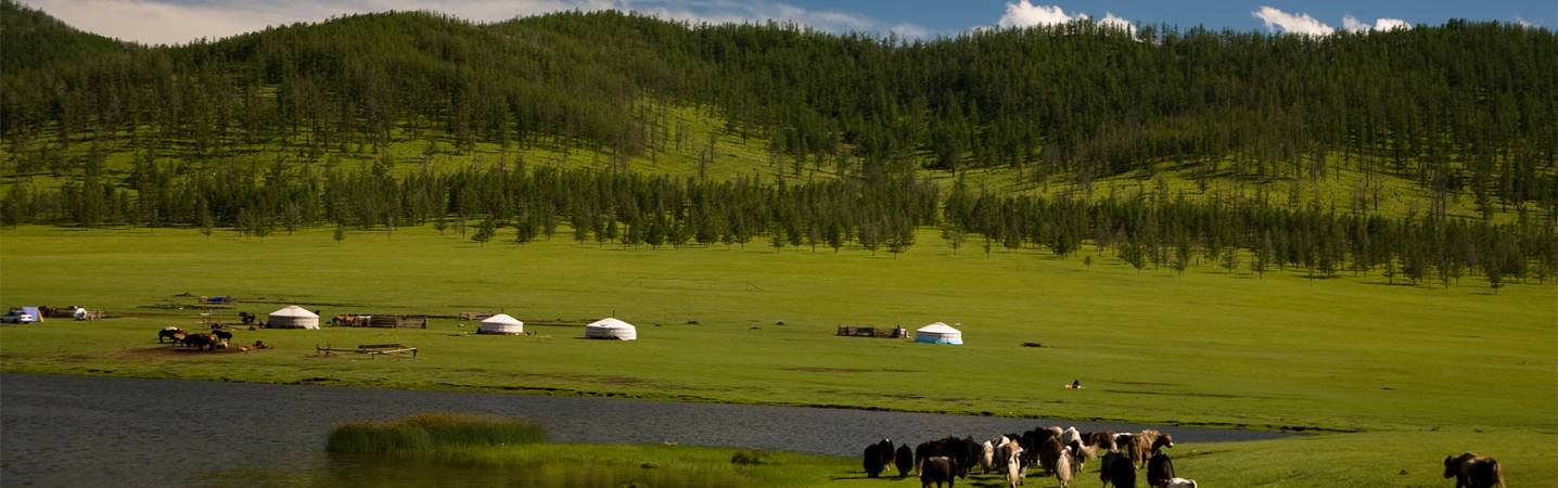 Amicus Travel Mongolia
