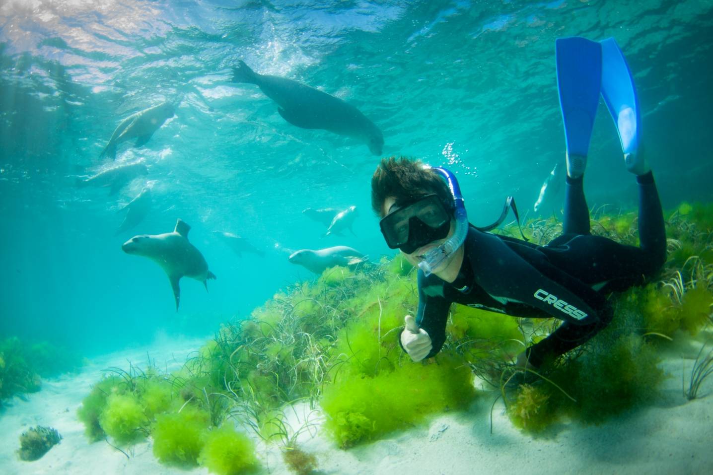 Adventure Bay Charters
