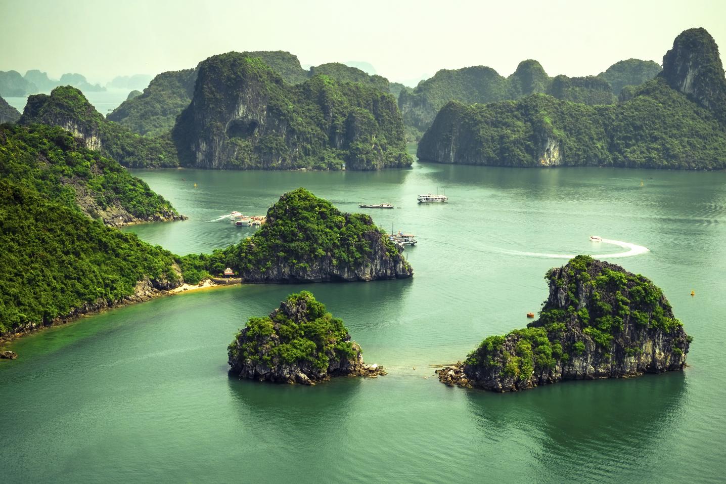 Vietnam Backpackers