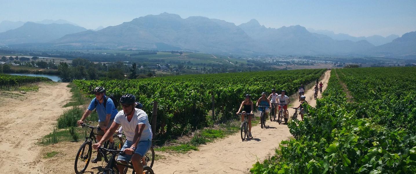 The Chain Gang Cycle Tours