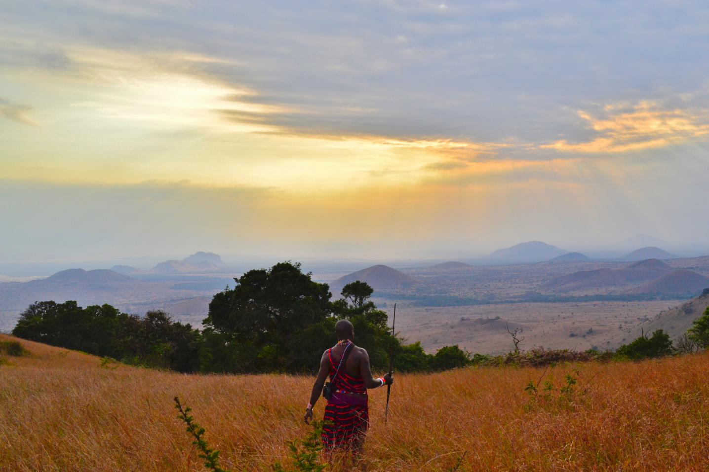 Bigzone Africa Safaris