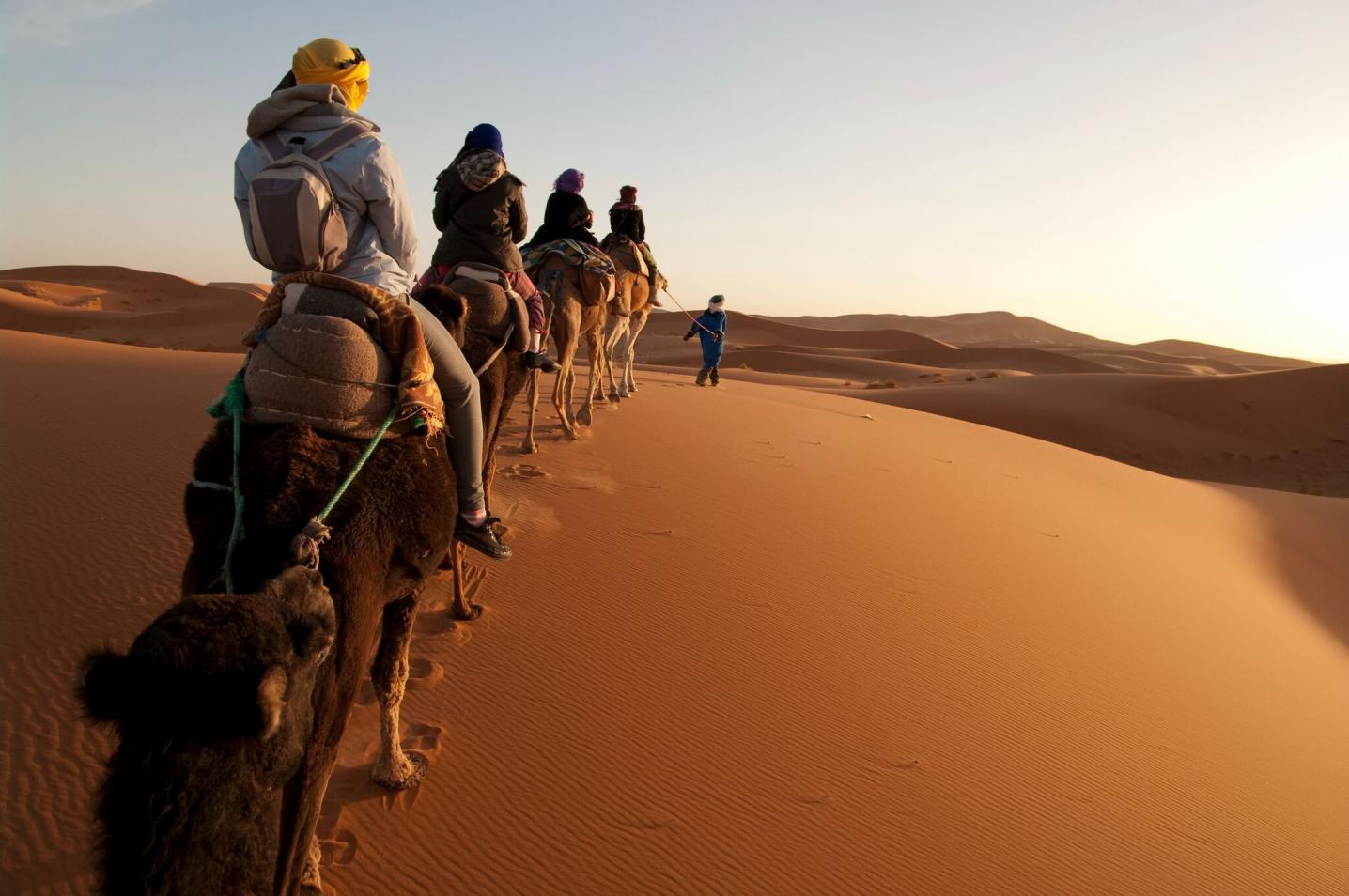 Morocco Joy Travel