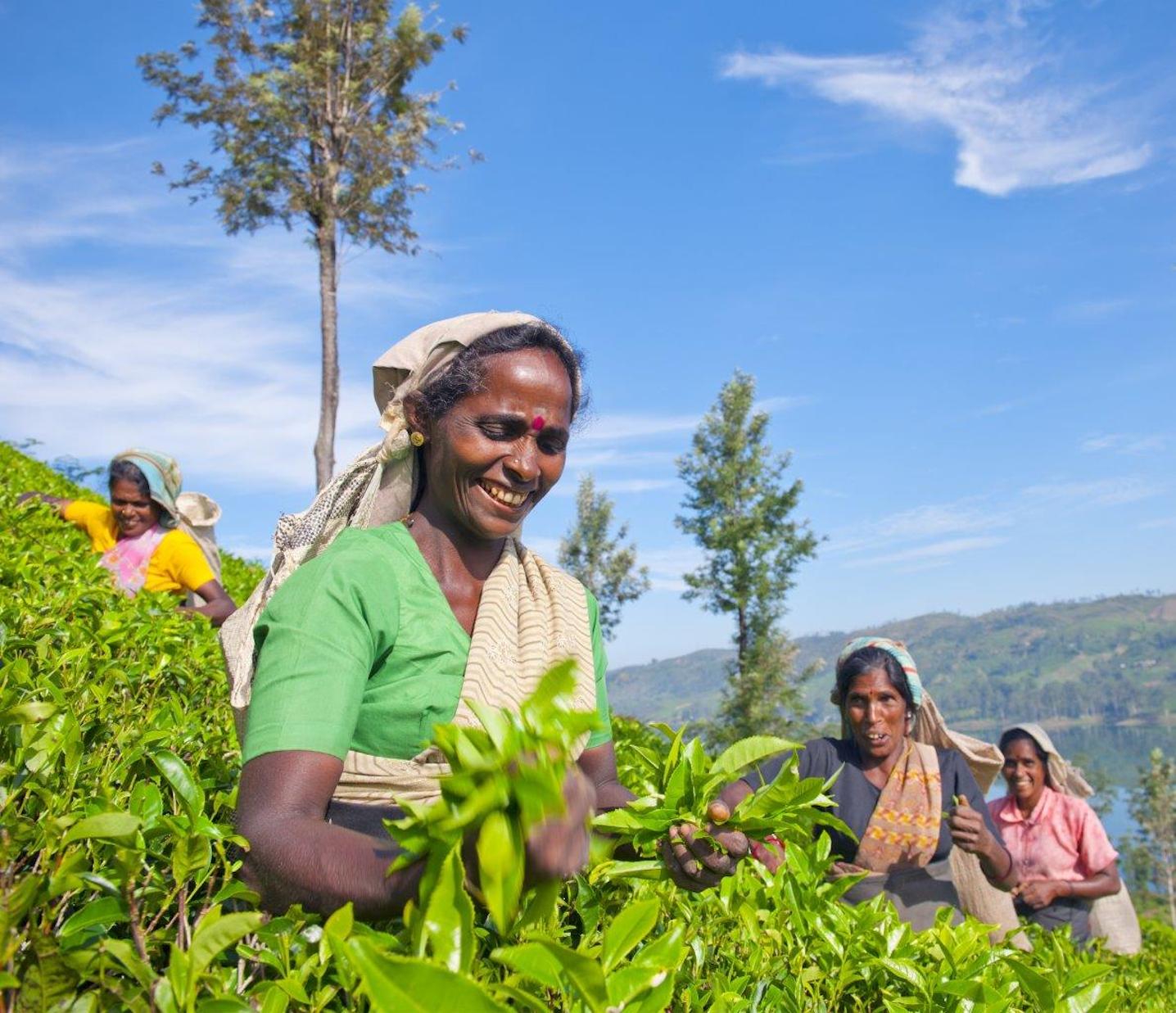 Aitken Spence Travel
