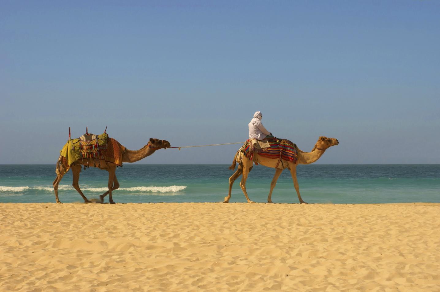 Destination Services Morocco