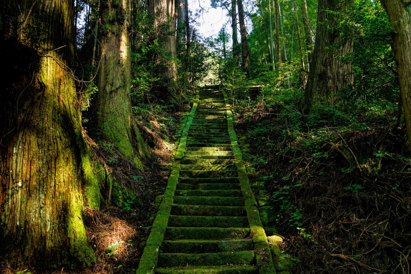Kichi Japan