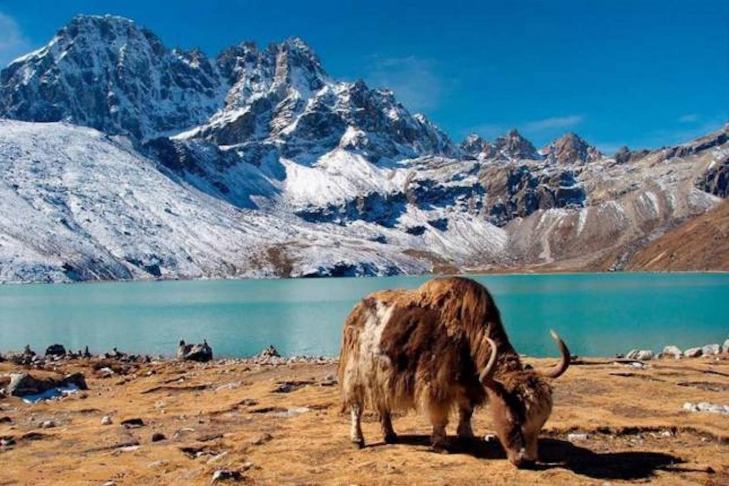 Mount Adventure Holidays Pvt.Ltd
