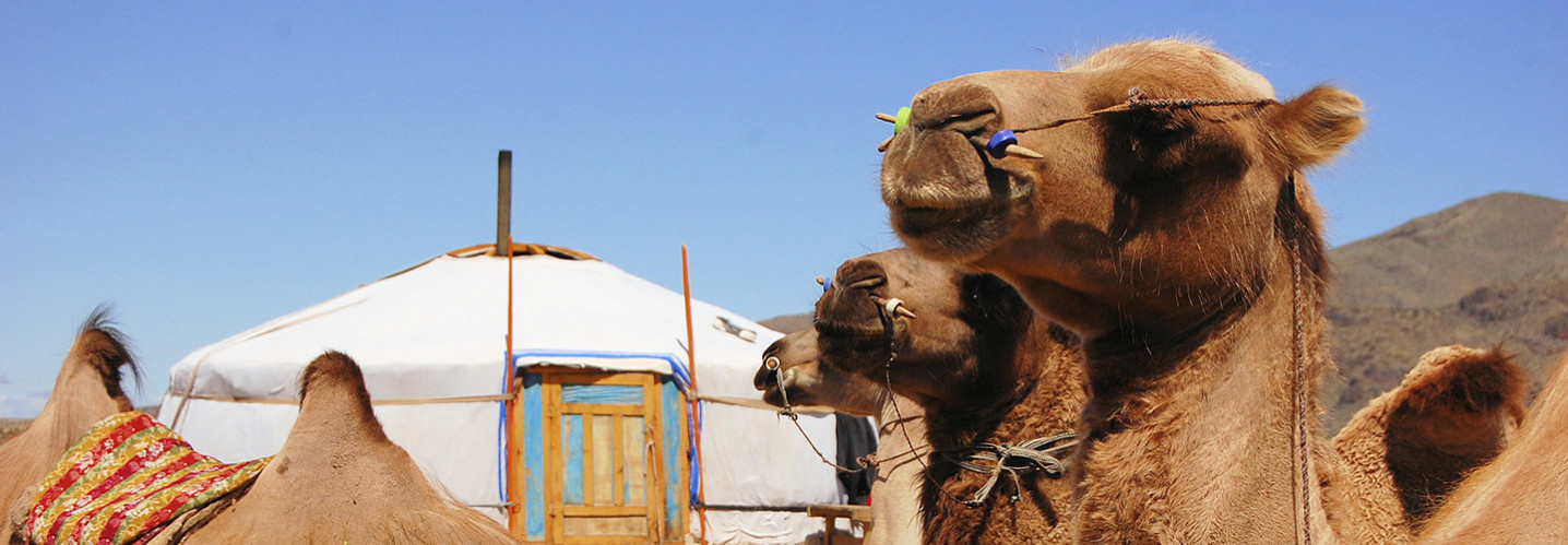 Discover Mongolia Development