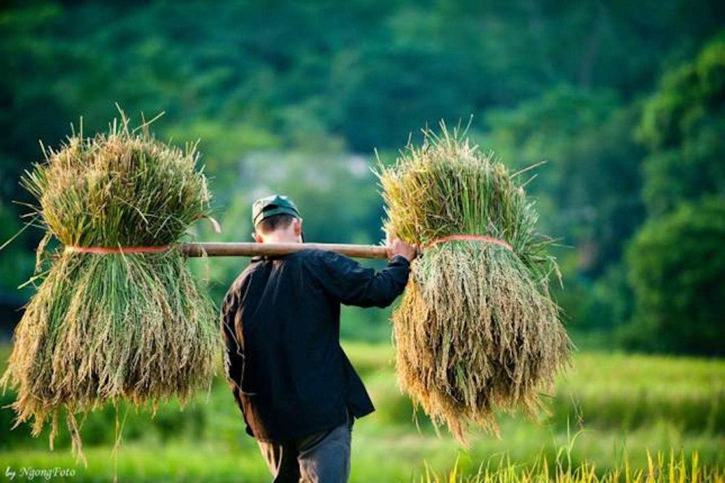 Zonitrip- Adventure Vietnam Tours