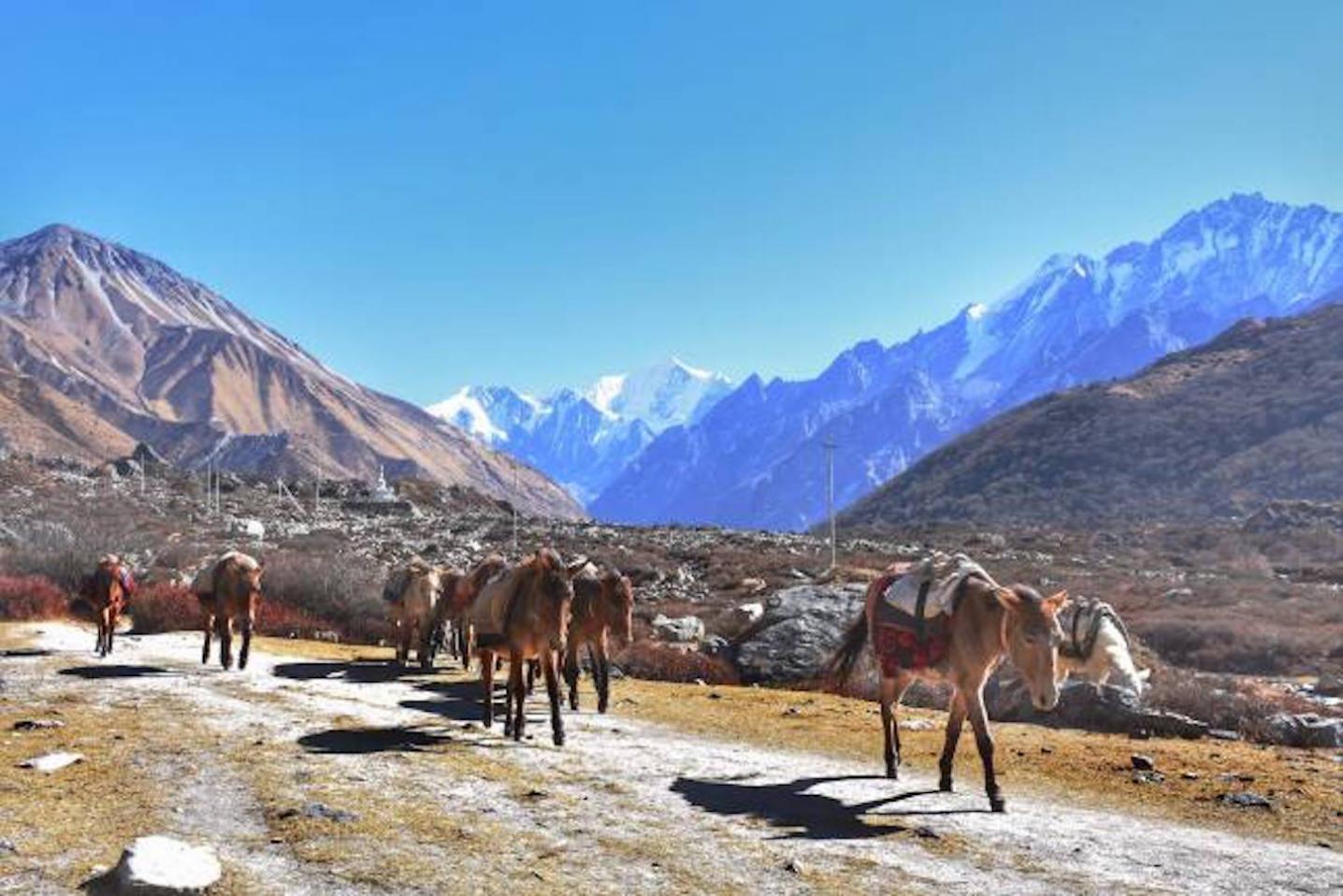 Scenic Nepal Treks & Expedition Pvt. Ltd