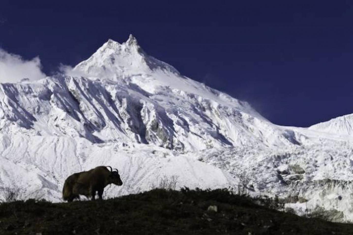 Adventure Himalayan Travels