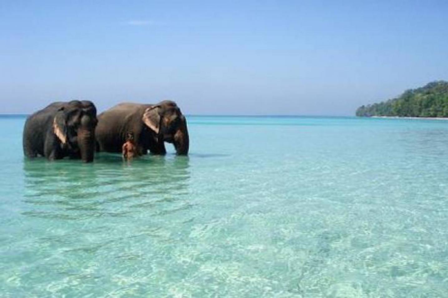 IHCT Heritage & Adventure Tours