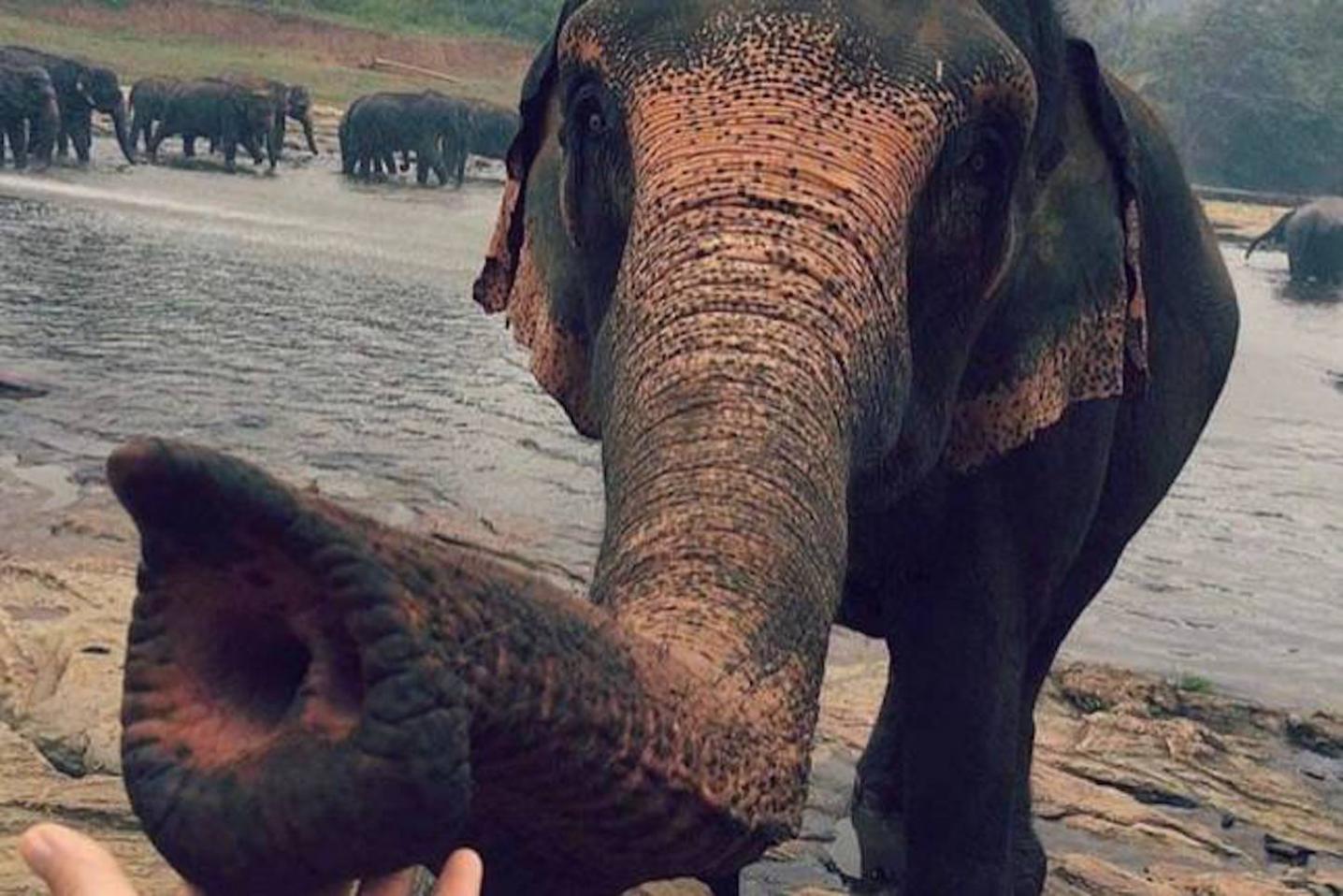 BH Sri Lanka Tours