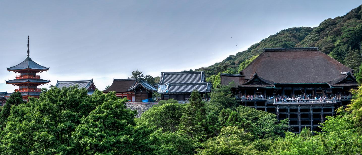 Stunning Tours