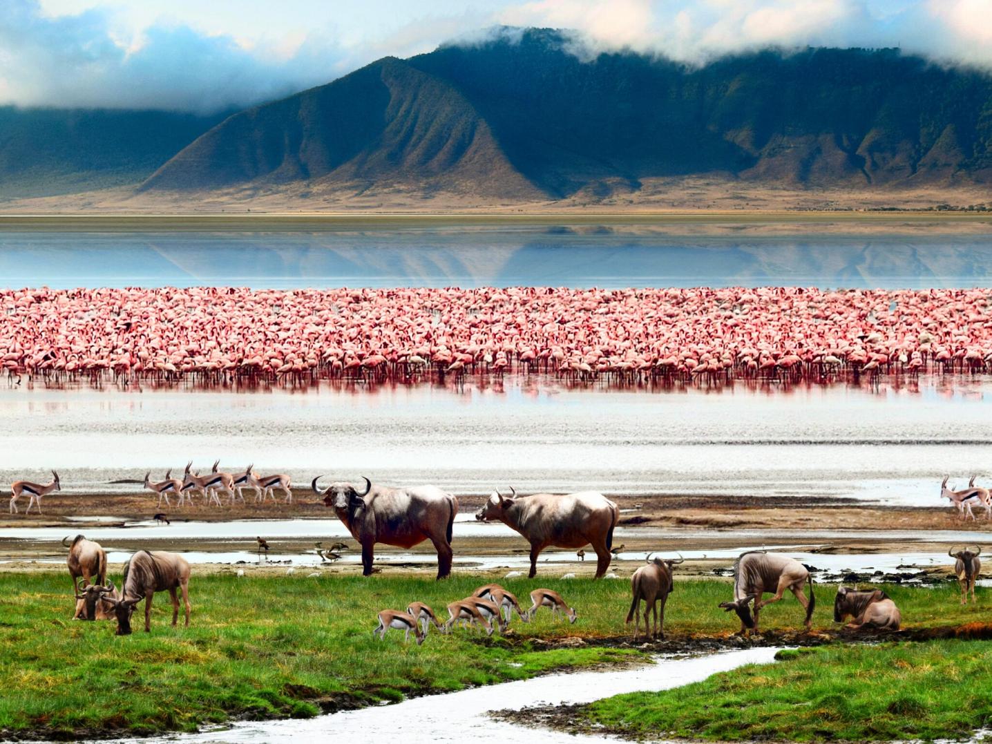 Youth Adventures & Safaris