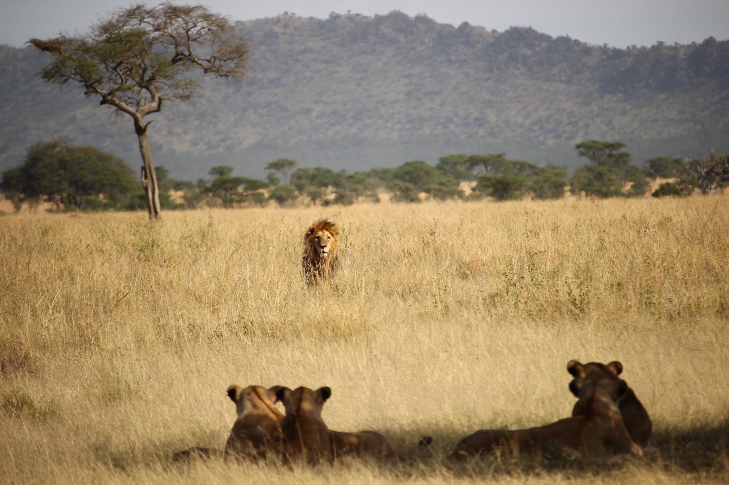 Migration Venture Africa