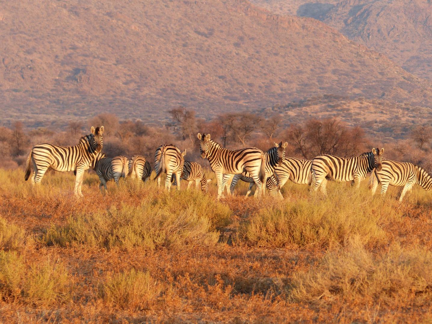Kilimanjaro Wonders Expedition Safari