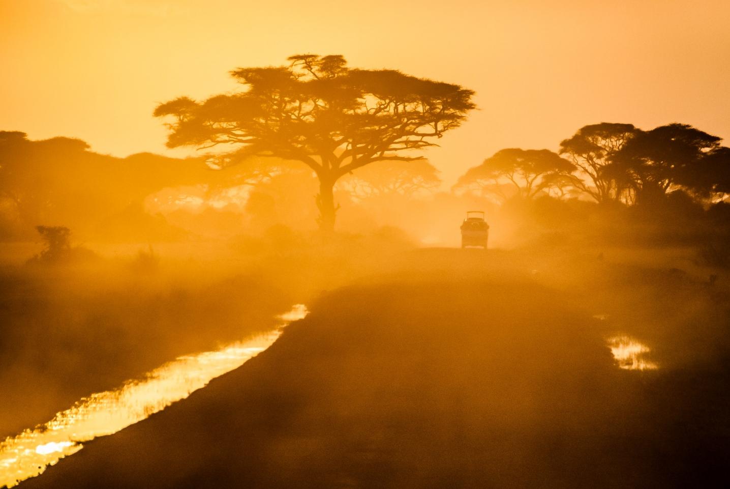 Viva Safaris
