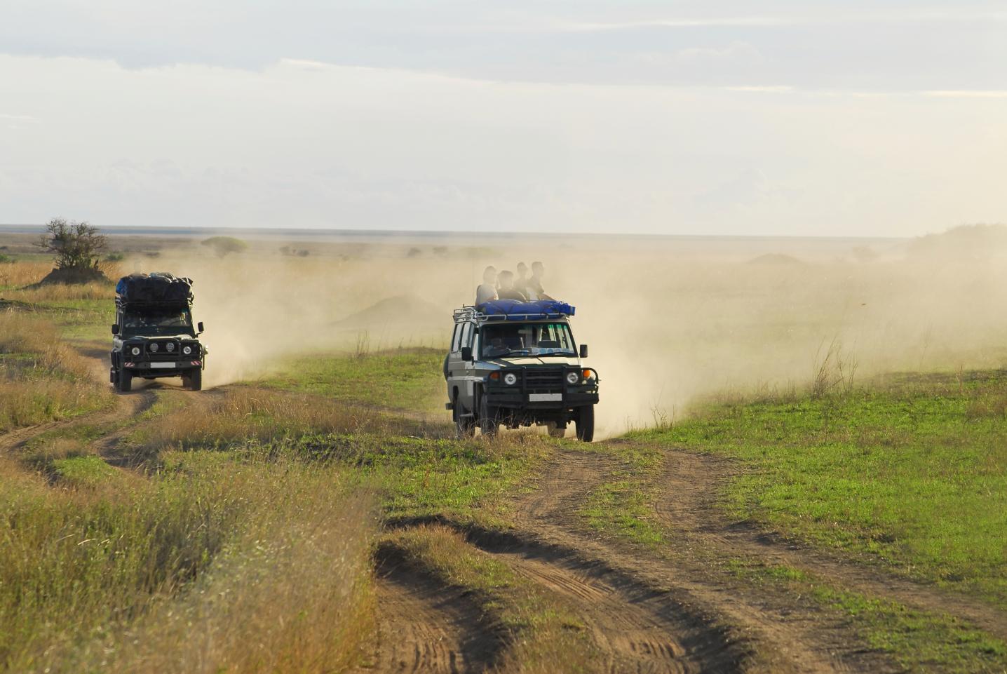 Wanderlust Africa Vacations