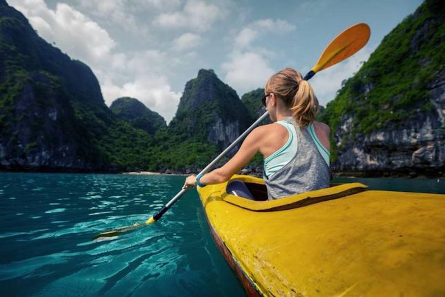 Swallow Vietnam Tourist