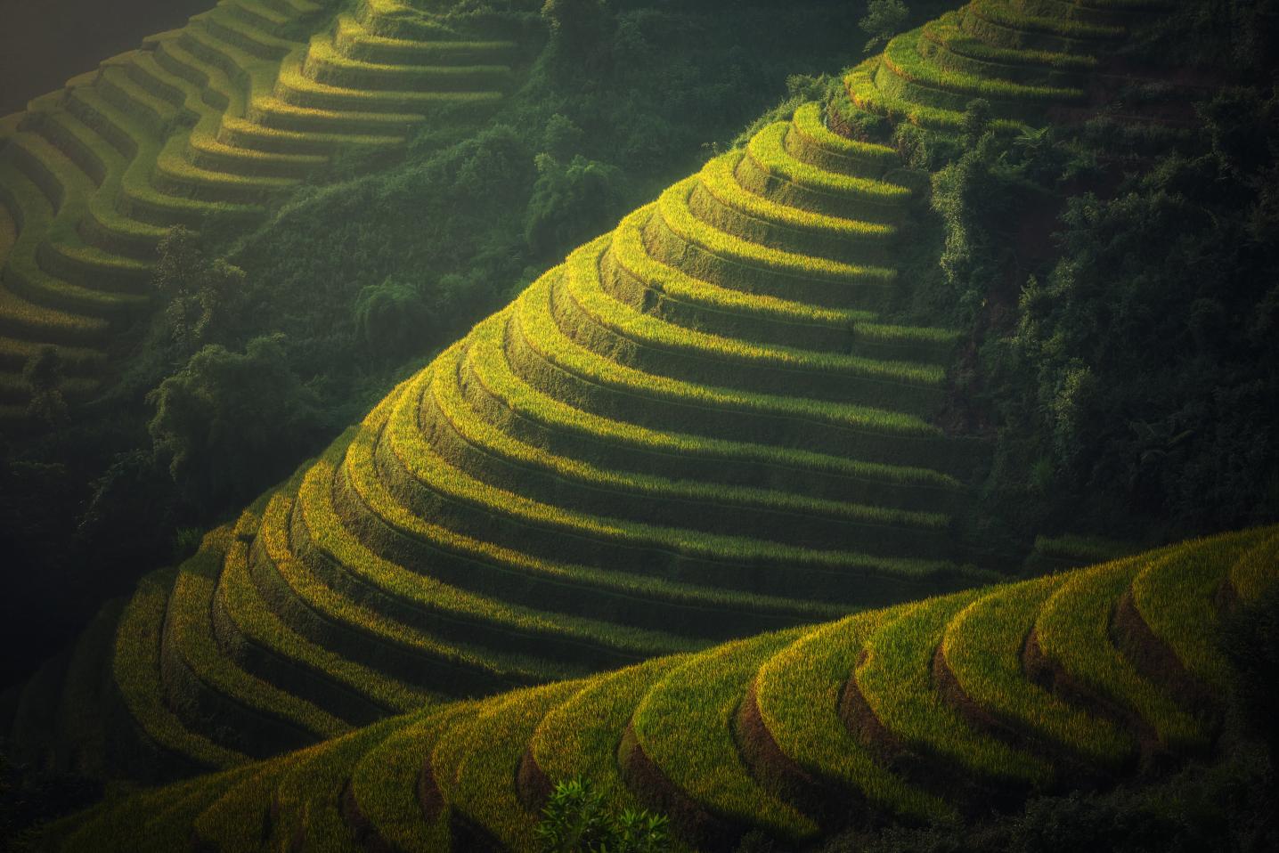 Sviet Travel