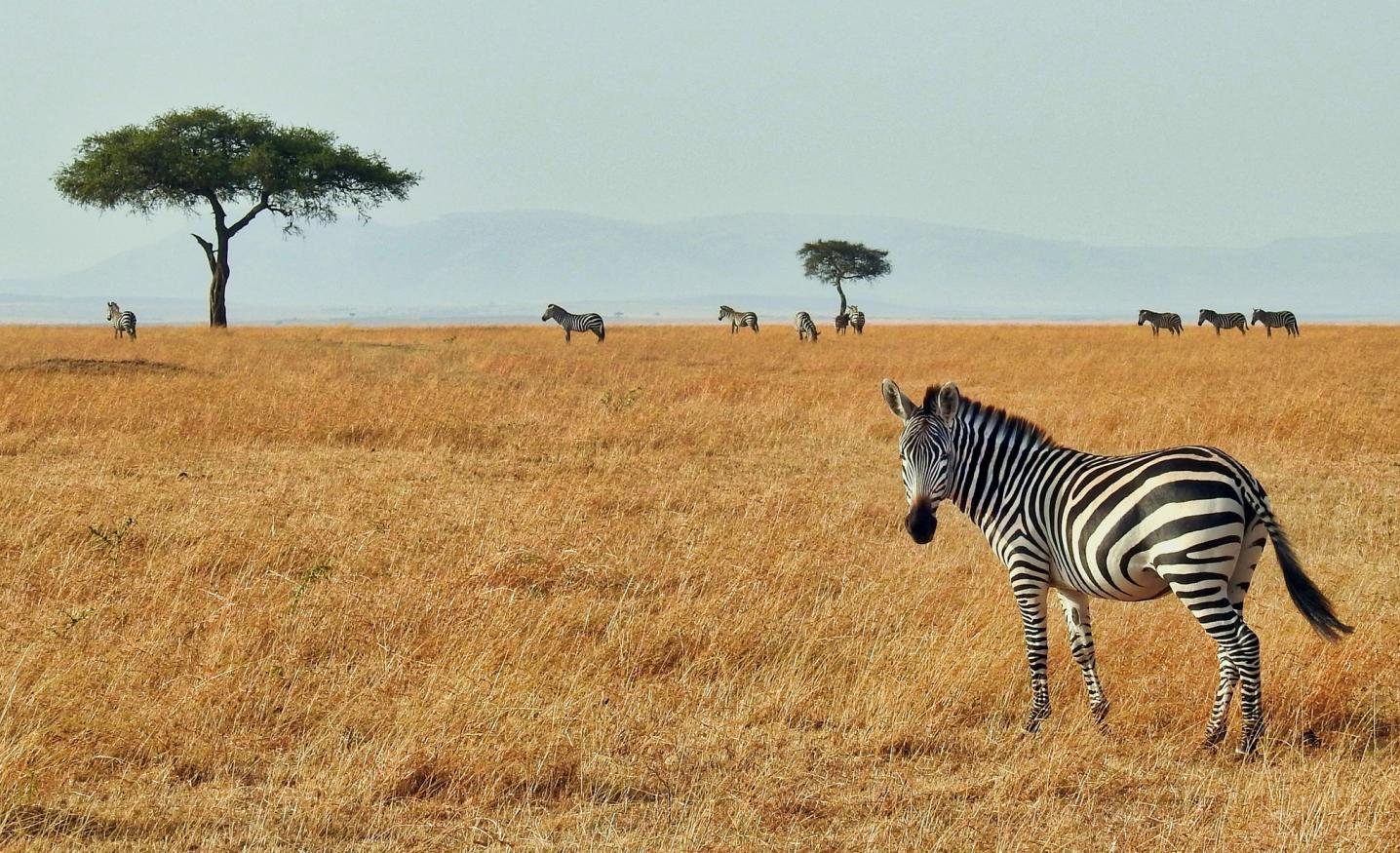 Explore South Africa