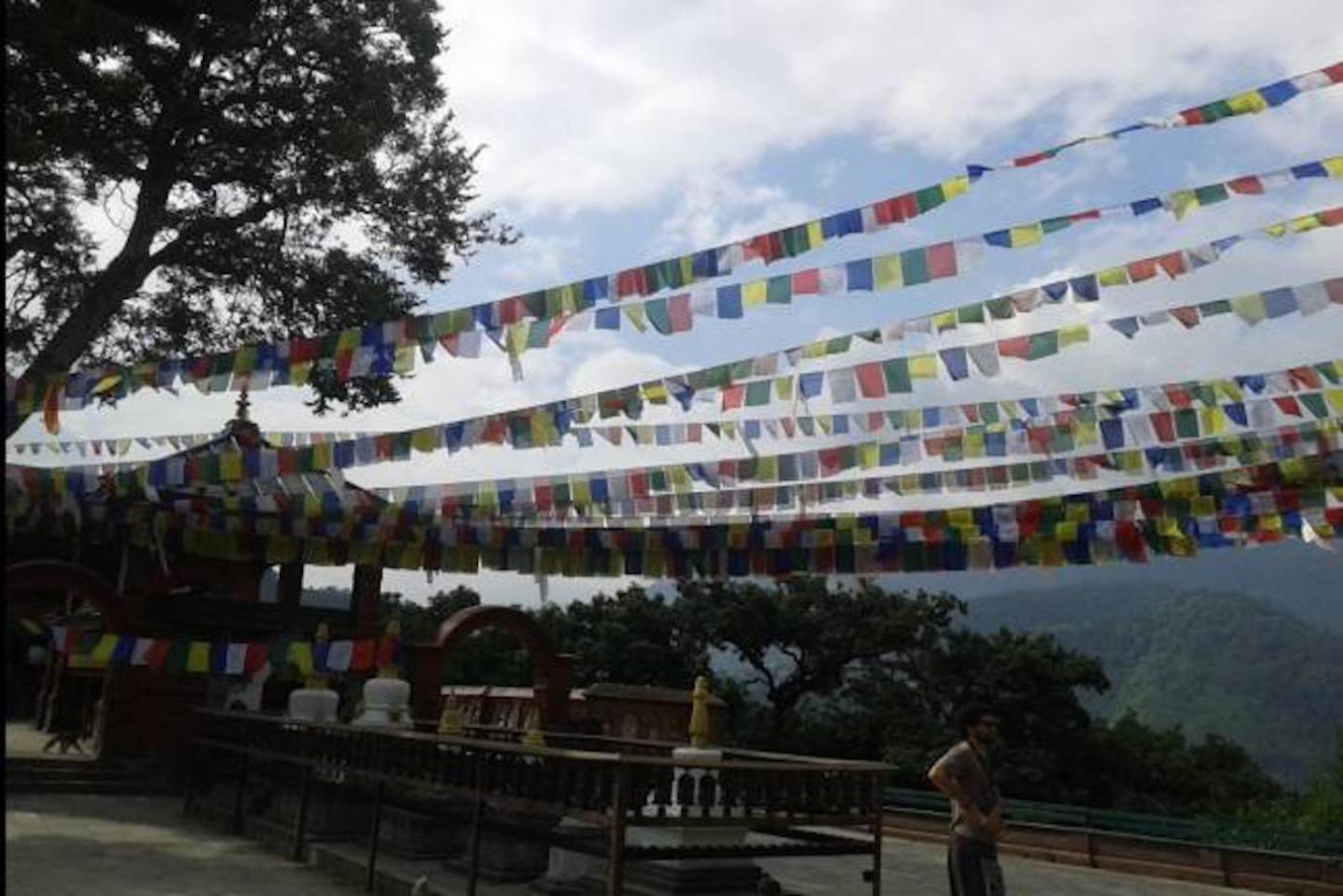 The Nepal Trekking Company