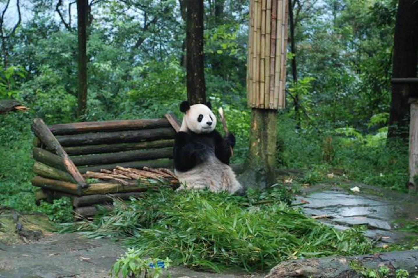 China Exploration