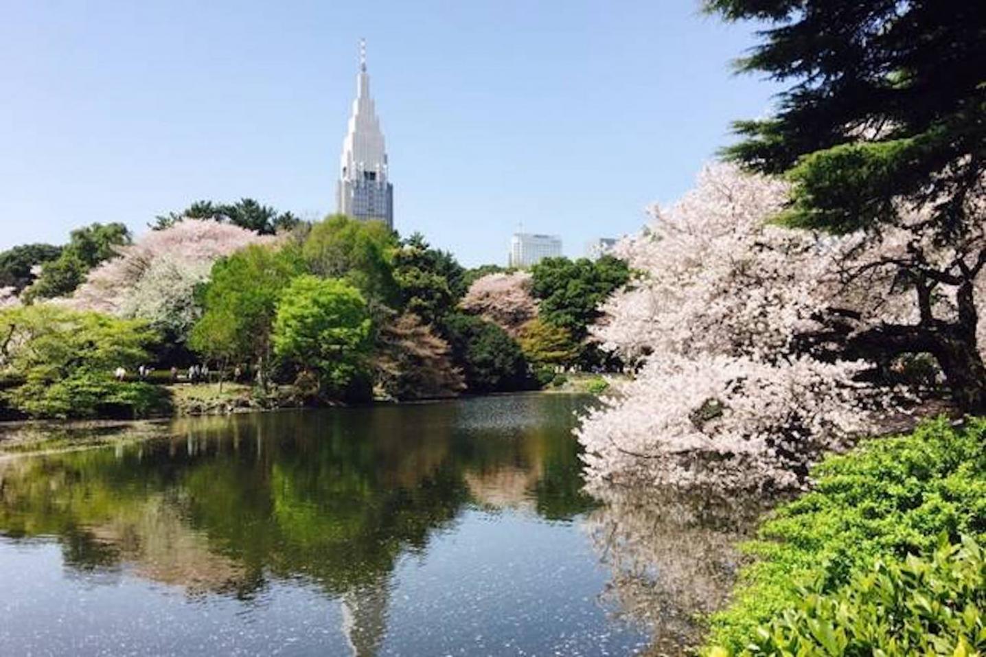HanaTour Japan