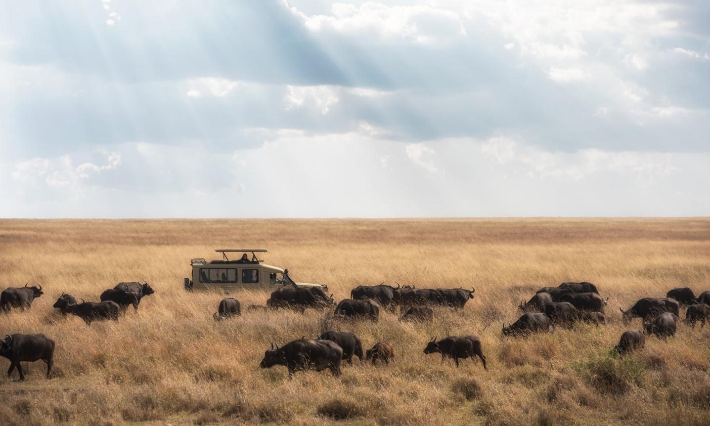 Shujaa tours