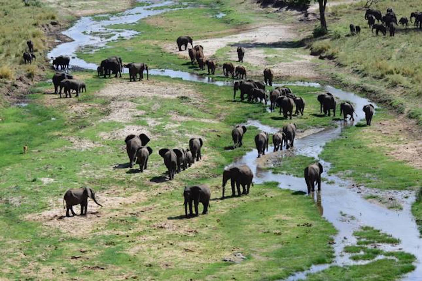 Africa Nature Photography and Safaris