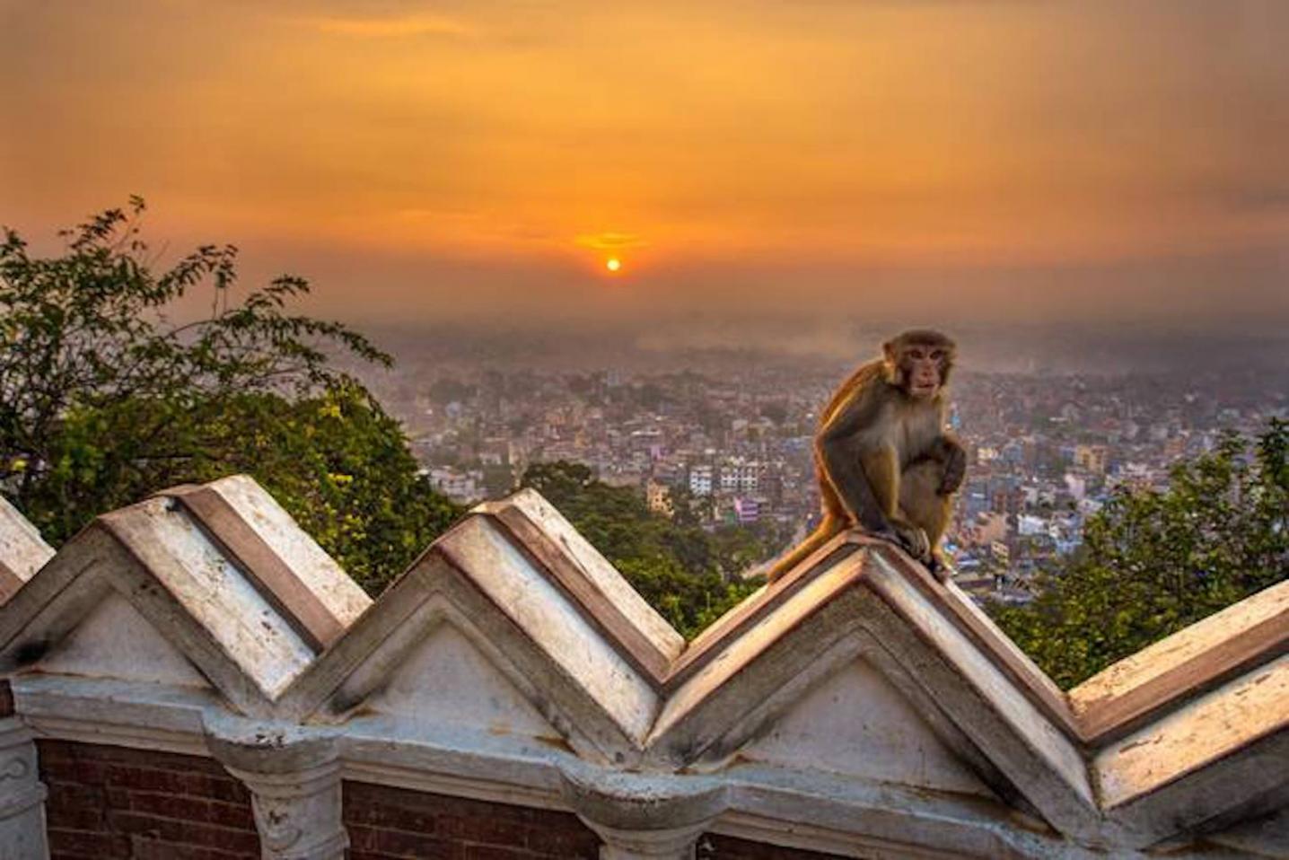 Asian Heritage Treks & Expeditions