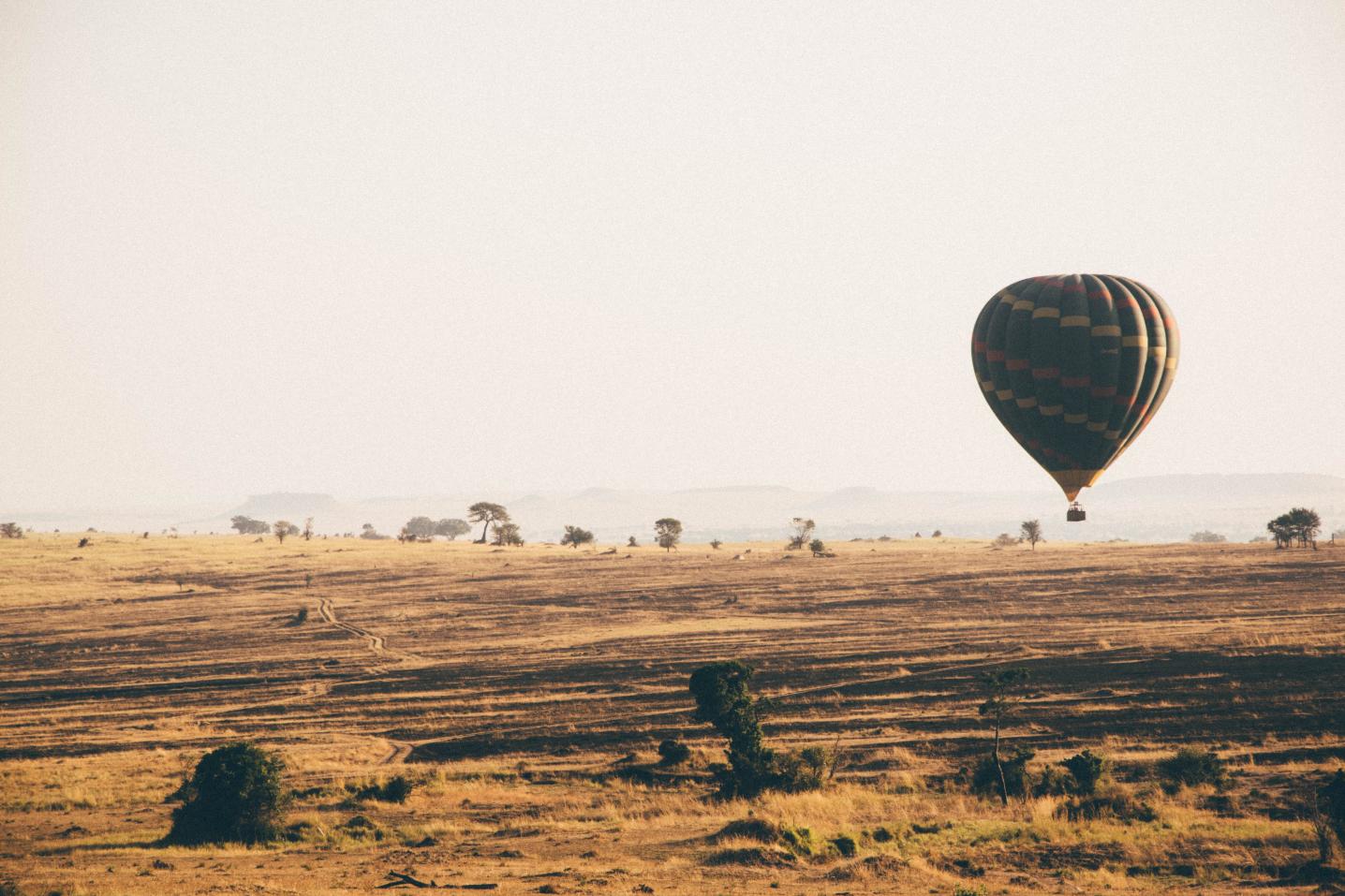 Tanzania Horizon Safaris