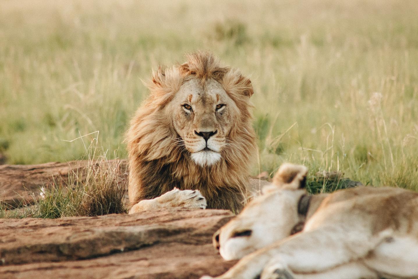 Jeep Safaris and Tours