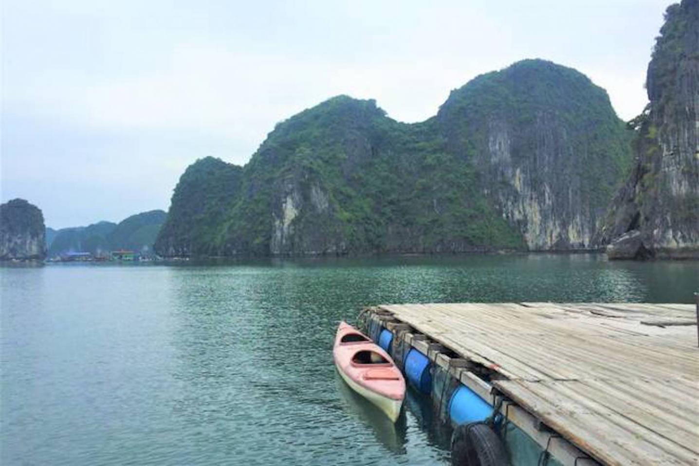 Yin Yang Travel Limited Company