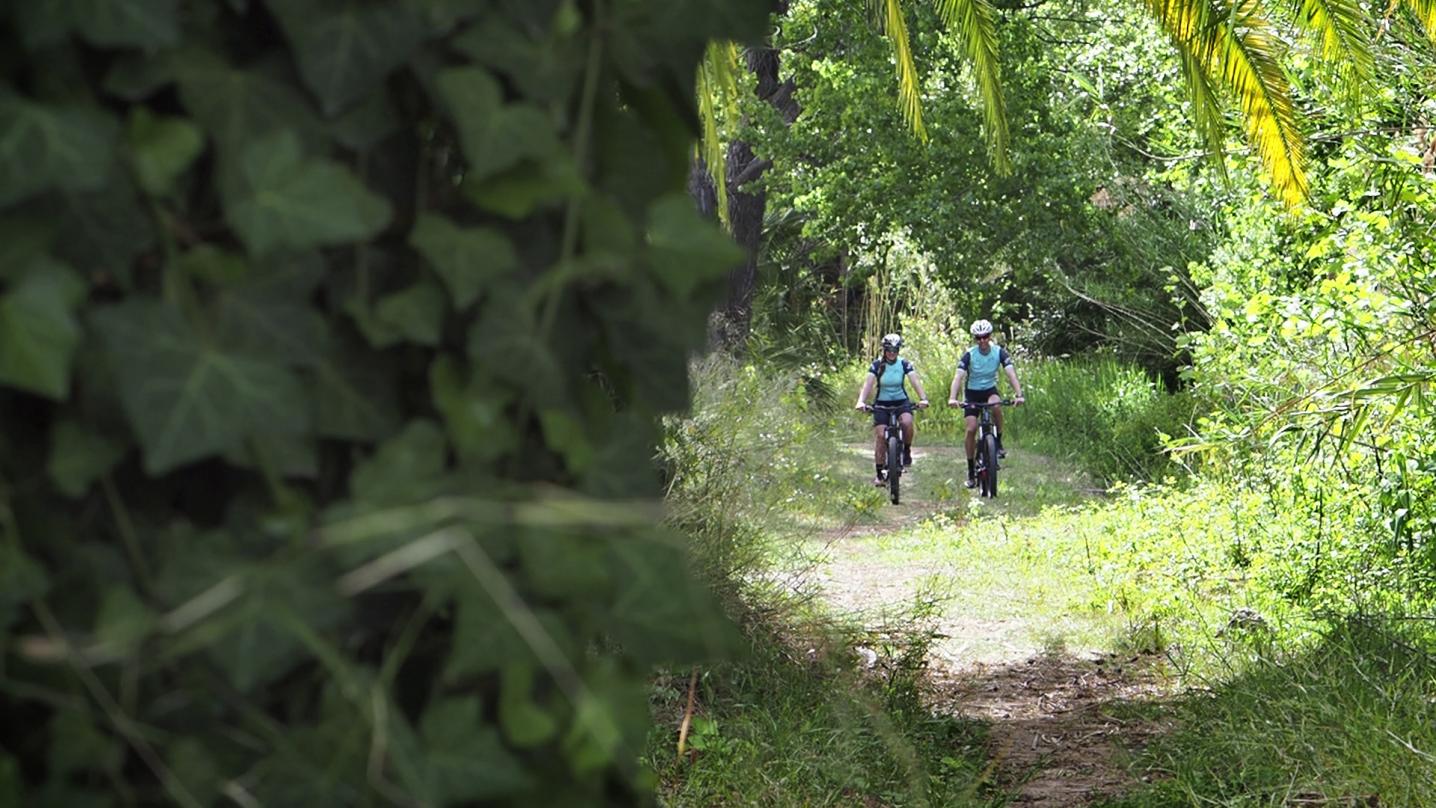 Mediterranean Bike Tours