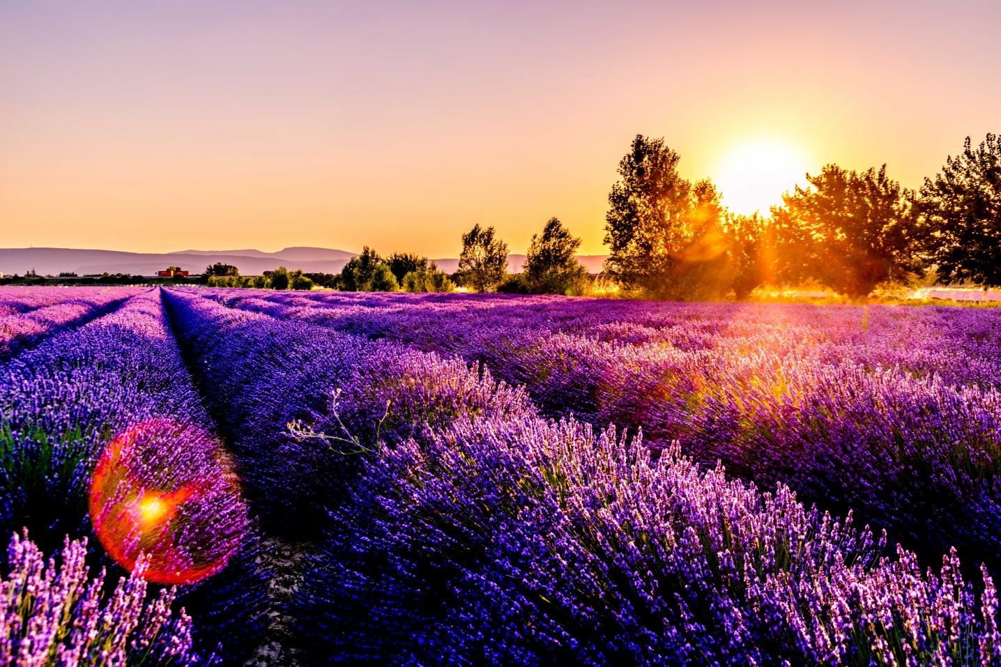 So Provence So Alps !