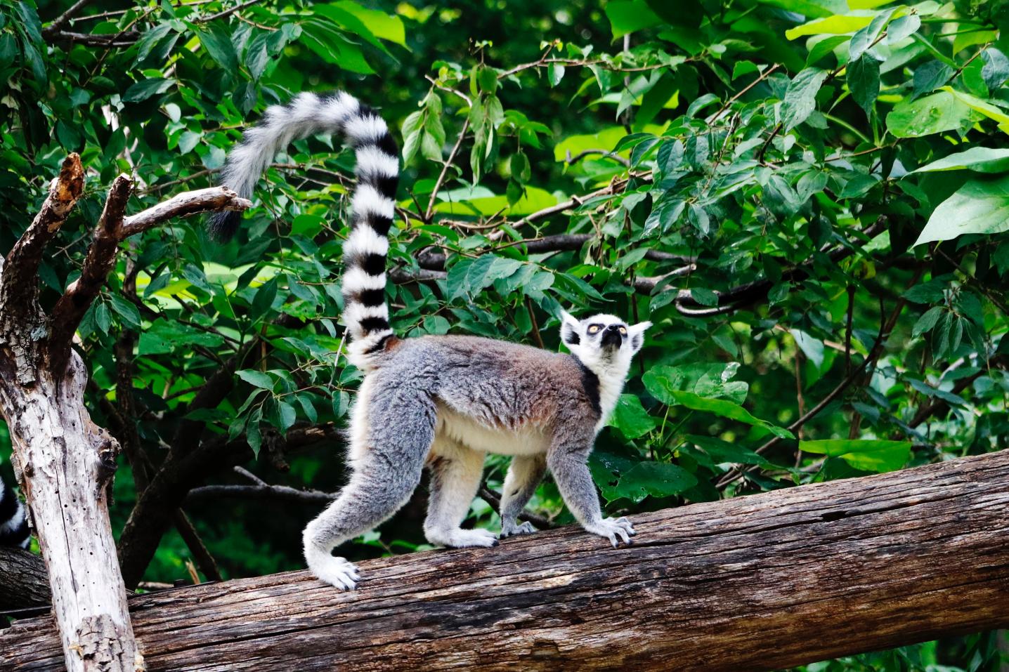 Go Travel Madagascar