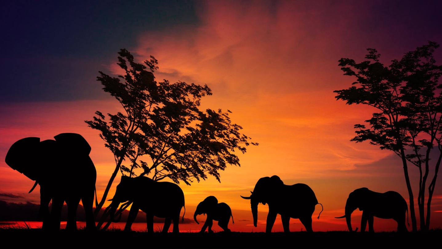 Viewpoint Adventures Safaris Ltd